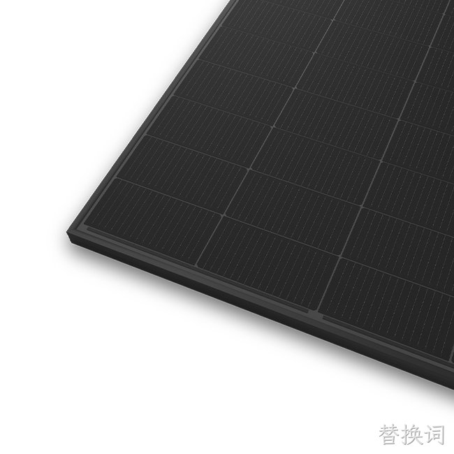 96 Cell All Black Bifacial Module (210R)